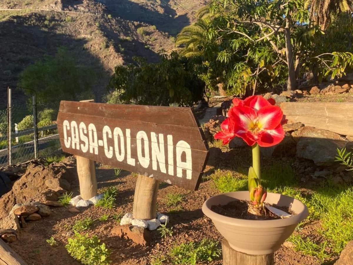 Apartmán Casa Colonia Mogán Exteriér fotografie